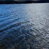 Review photo of Chambers Lake Dispersed Camping by Megan F., July 16, 2026