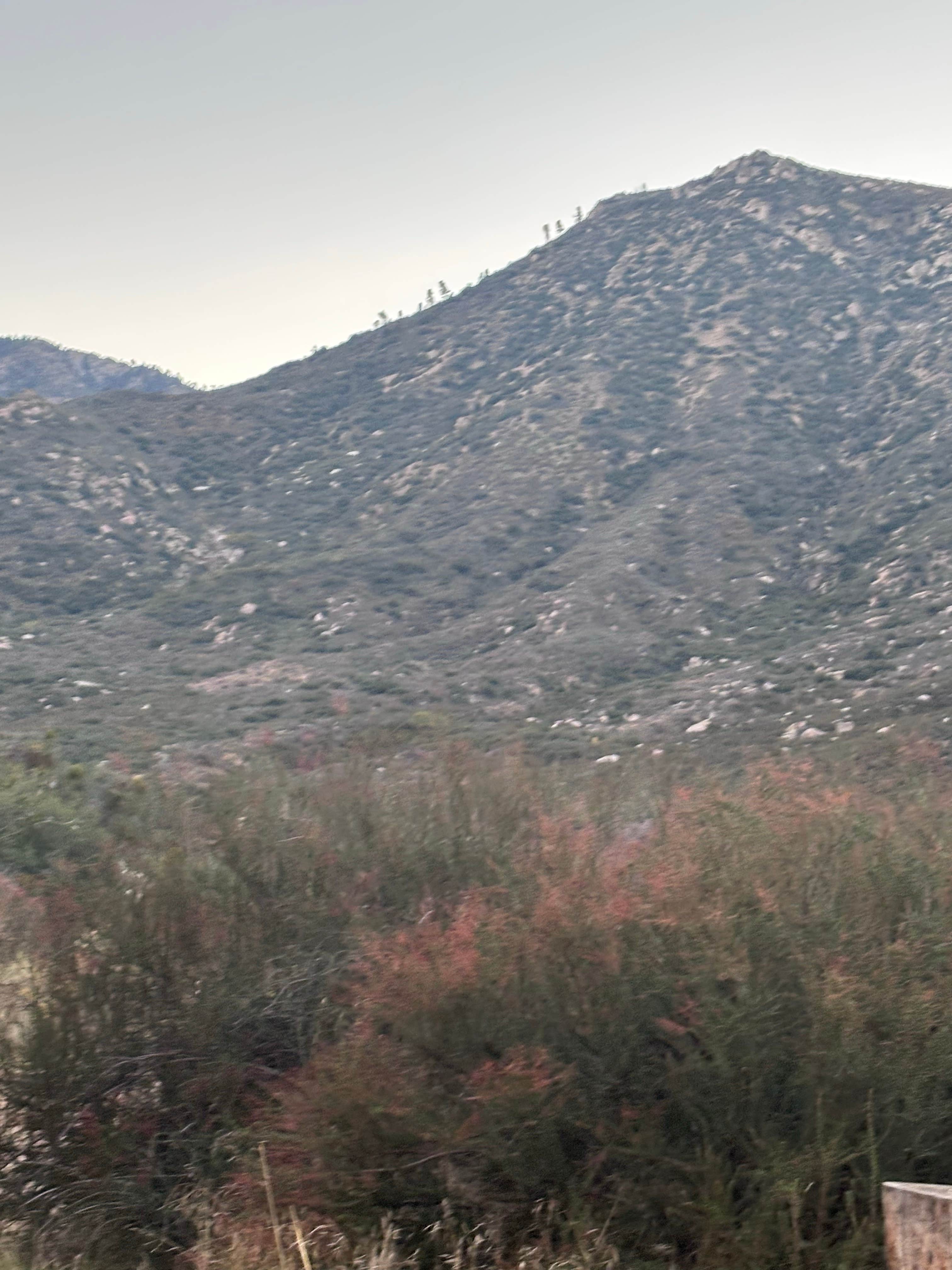 Camper submitted image from Chamise Flat Dispersed Campground - 4