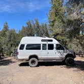 Review photo of Champion Road Dispersed Campsites by Meghan B., April 22, 2025