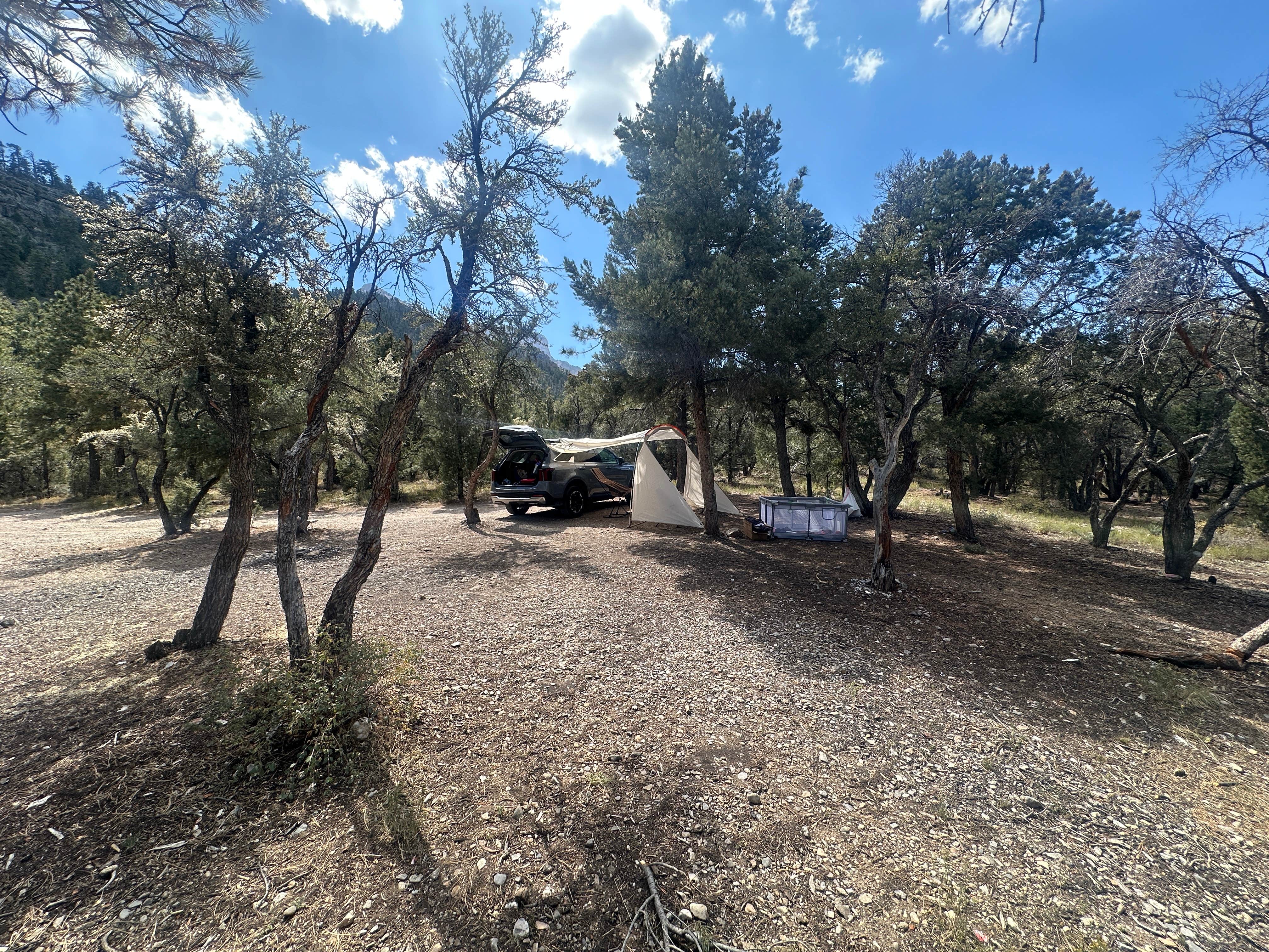 Jeffrey's photo of a dispersed camping area at Champion Road Dispersed Campsites in Nevada