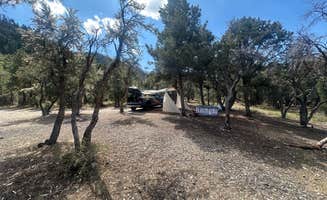 Jeffrey's photo at Champion Road Dispersed Campsites near Mount Charleston, NV