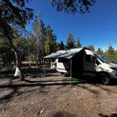 Review photo of Champion Road Dispersed Campsites by Johanna A., April 14, 2026