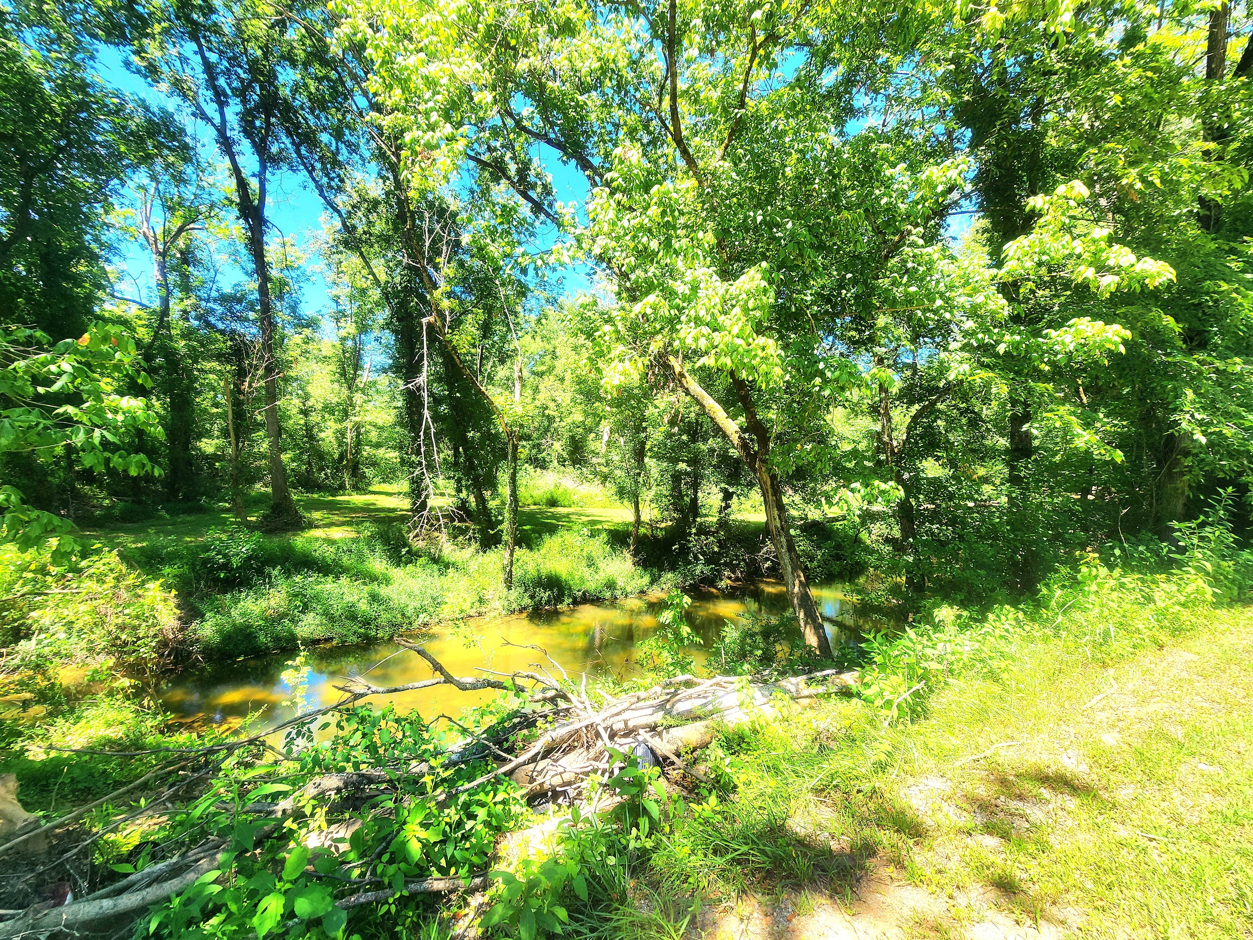 Camper-submitted photo at Charles Creek Campground near McMinnville, TN
