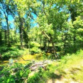 Review photo of Charles Creek Campground by Bobbie S., July 11, 2024