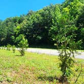 Review photo of Charles Creek Campground by Bobbie S., July 11, 2024