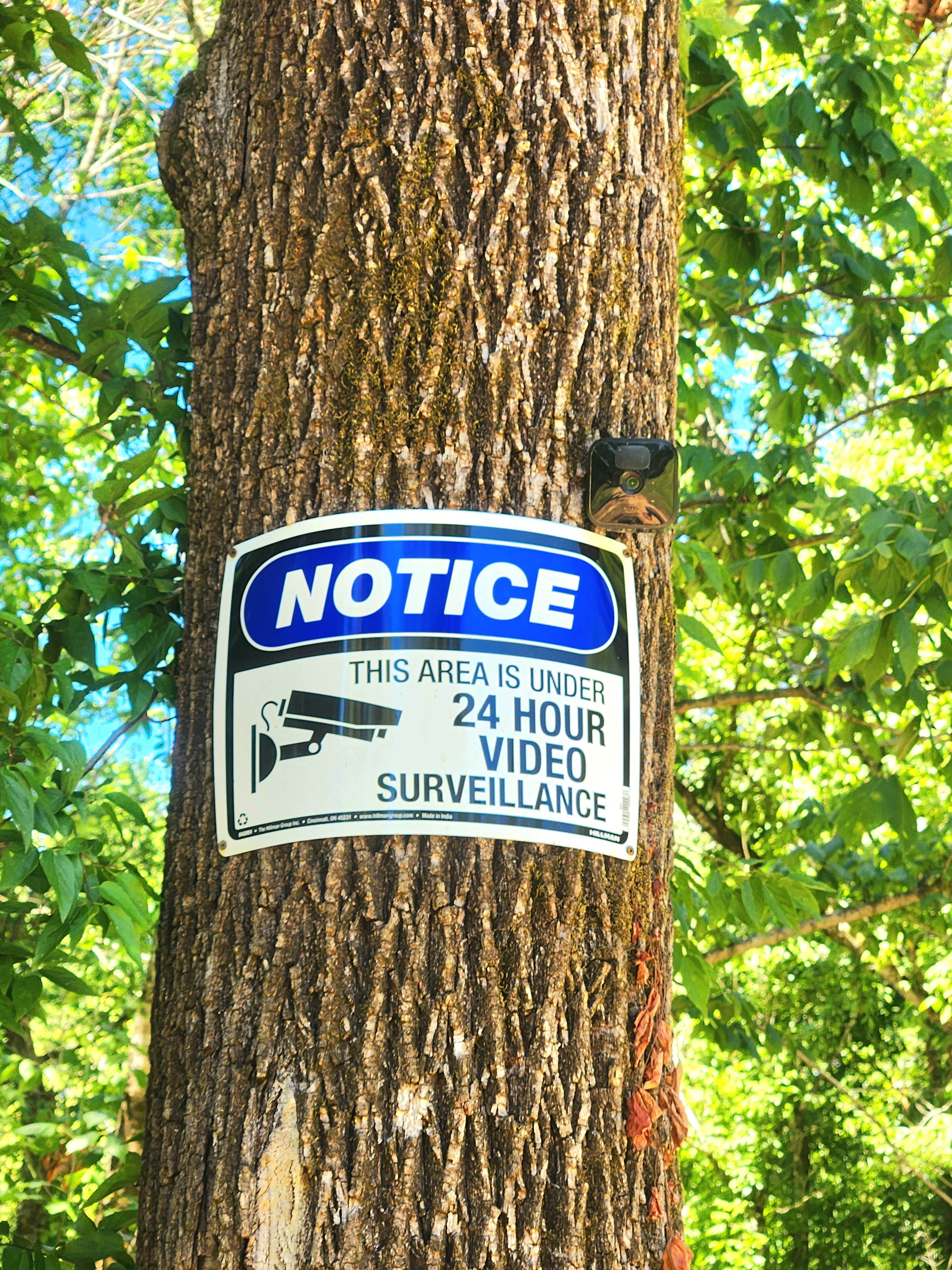 Camper-submitted photo at Charles Creek Campground near McMinnville, TN