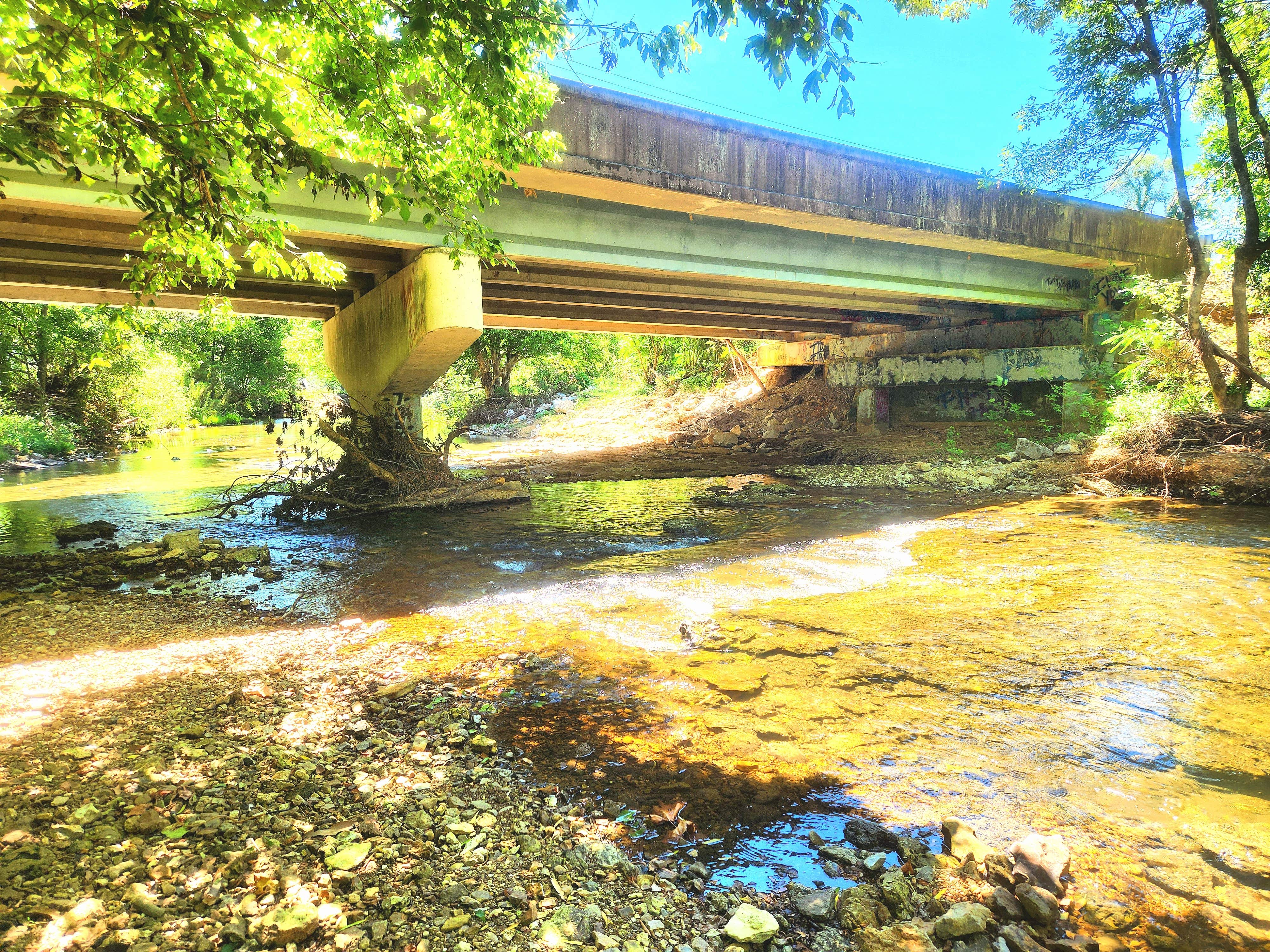 Camper submitted image from Charles Creek Campground - 5