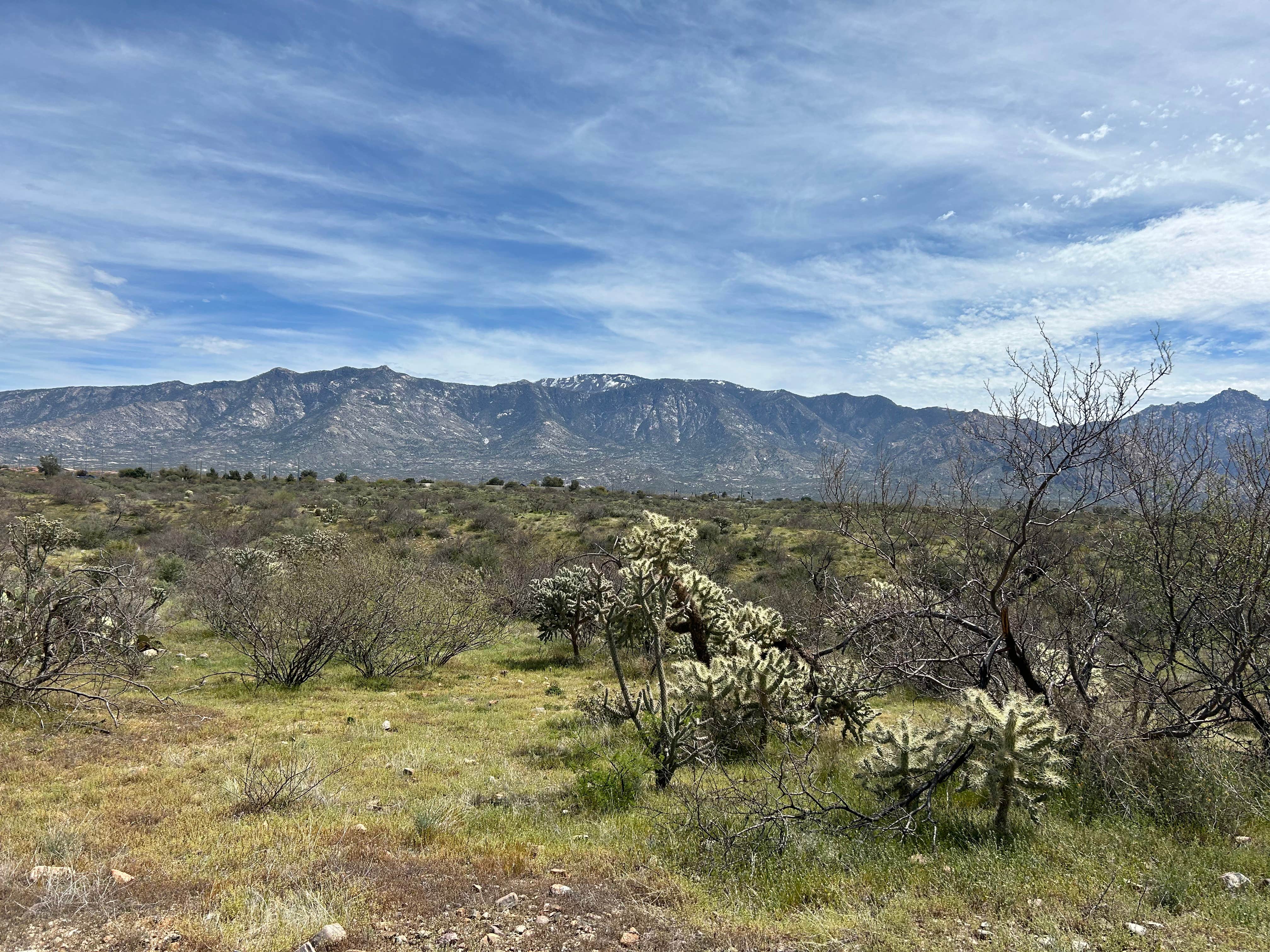 Camper-submitted photo at Charouleau Gap Trailhead Camp near Tucson, AZ
