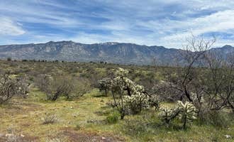 Camping near Mount Bigelow Dispersed : Charouleau Gap Trailhead Camp, Catalina, Arizona