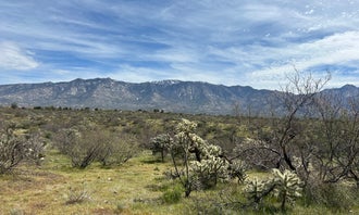 Camping near Redington Pass - Dispersed Camping: Charouleau Gap Trailhead Camp, Catalina, Arizona