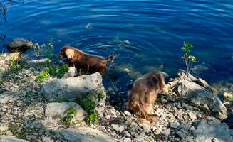Cher & Walter P.'s photo of camping with pets at Chase State Fishing Lake near Emporia, KS
