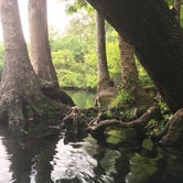 Review photo of Chassahowitzka River Campground by Lexi W., February 8, 2024