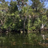 Review photo of Chassahowitzka River Campground by Lexi W., February 8, 2024