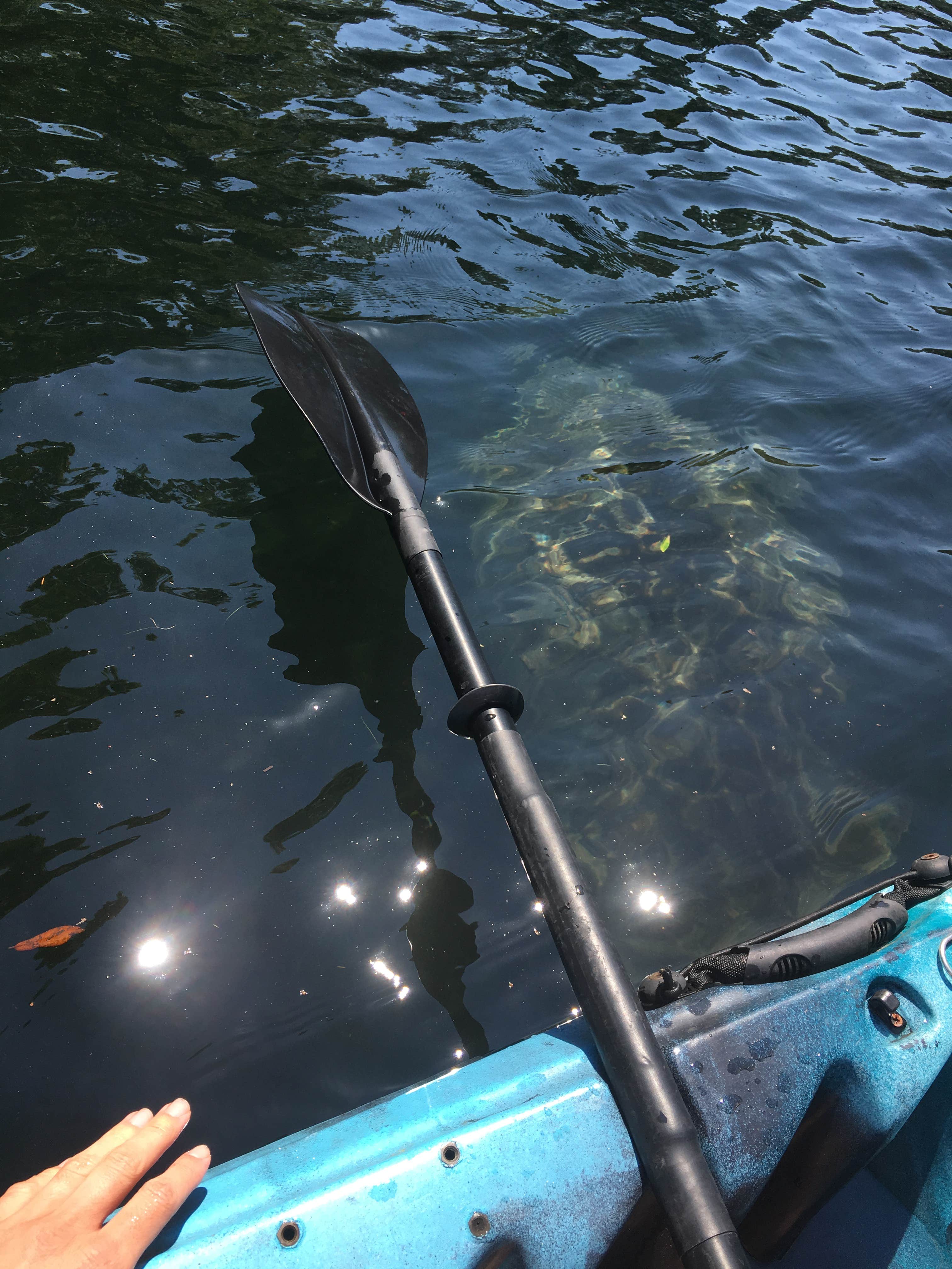 Camper-submitted photo at Chassahowitzka River Campground near Homosassa, FL