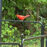 Review photo of Chattahoochee Bend State Park Campground by James E., July 27, 2024