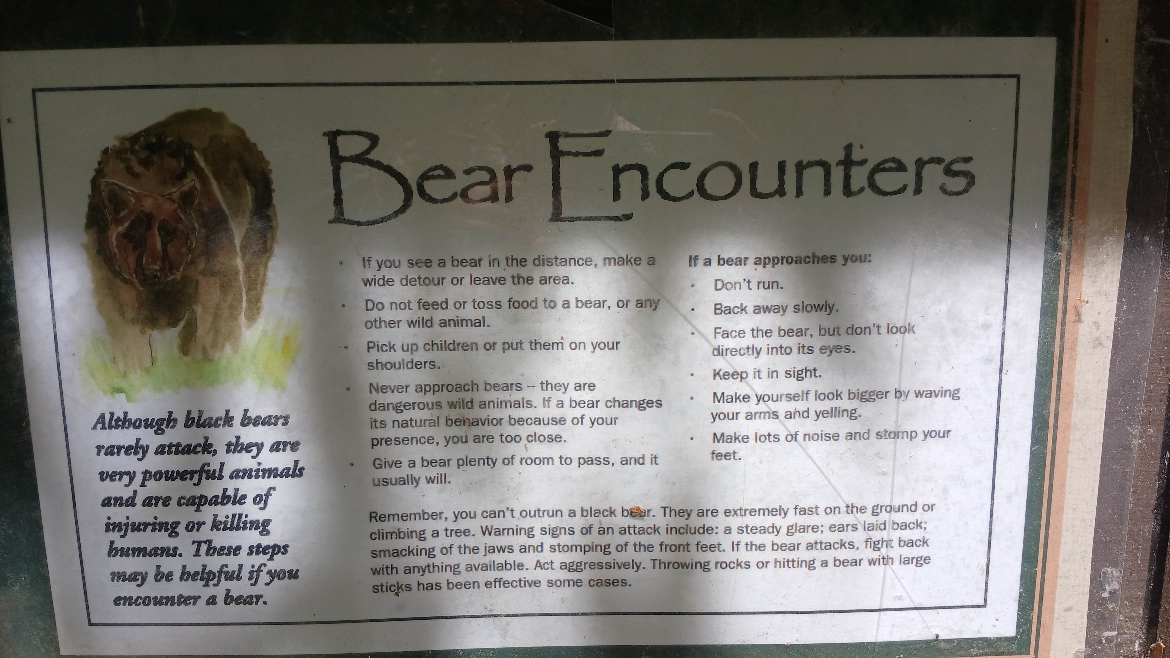 Clay T.'s photo of camping with pets at Chattahoochee National Forest Boggs Creek Recreation Area - PERMANENTLY CLOSED near Helen, GA