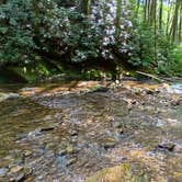 Review photo of Chattahoochee National Forest Boggs Creek Recreation Area by Clay T., May 7, 2024