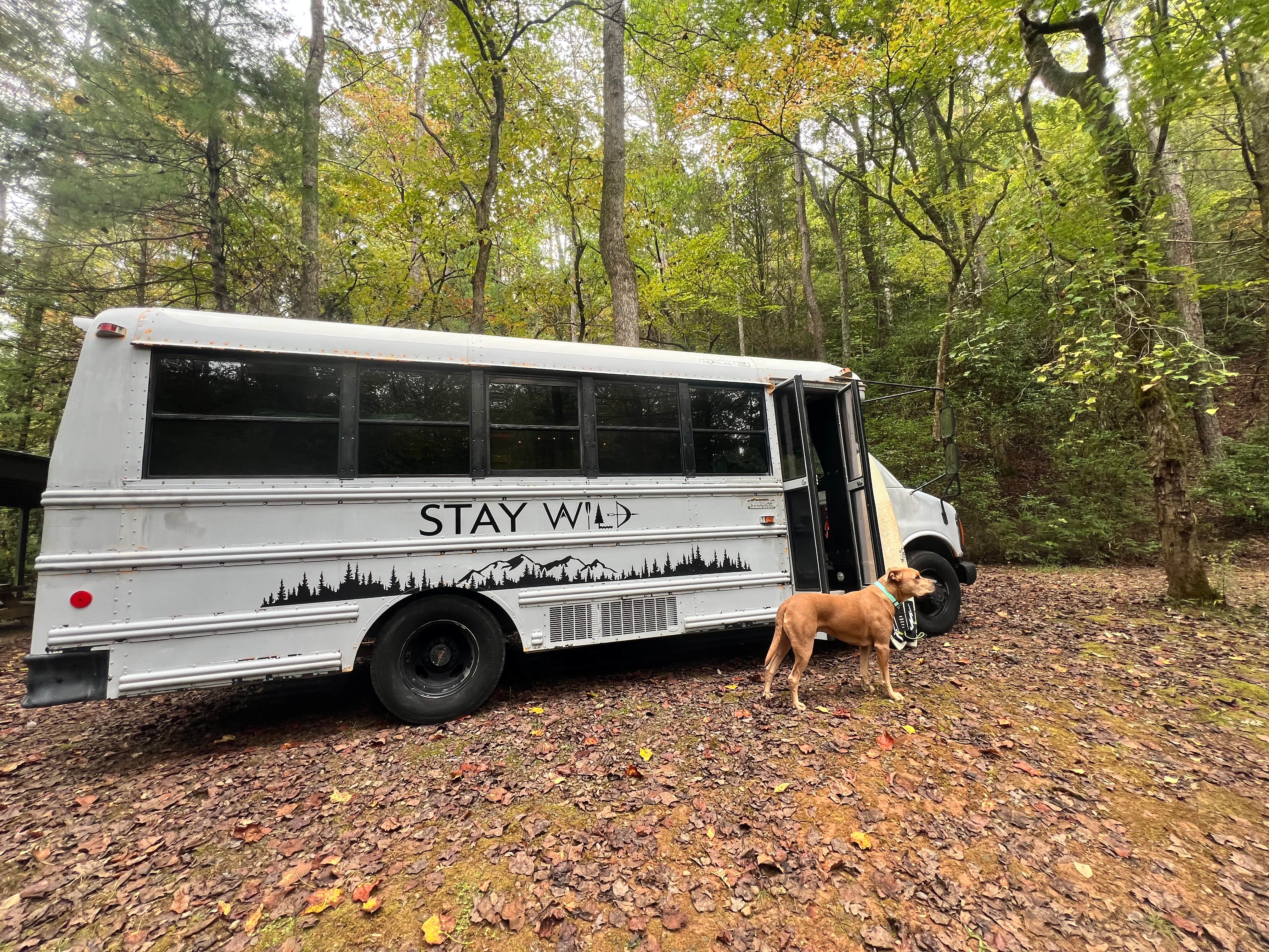 Jacquelyn I.'s photo of camping with pets at Chattooga River Lodge and Campground in South Carolina