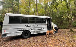 Jacquelyn I.'s photo of camping with pets at Chattooga River Lodge and Campground in South Carolina