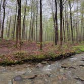 Review photo of Chautauqua Gorge State Forest Campground by Ilce H., May 1, 2026