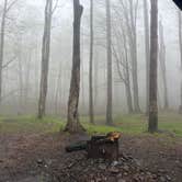 Review photo of Chautauqua Gorge State Forest Campground by Ilce H., May 1, 2026