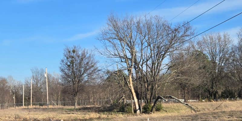 Camper submitted image from KOA Campground Checotah