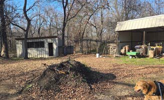 Heidi J.'s photo of camping with pets at KOA Campground Checotah near Eufaula Lake