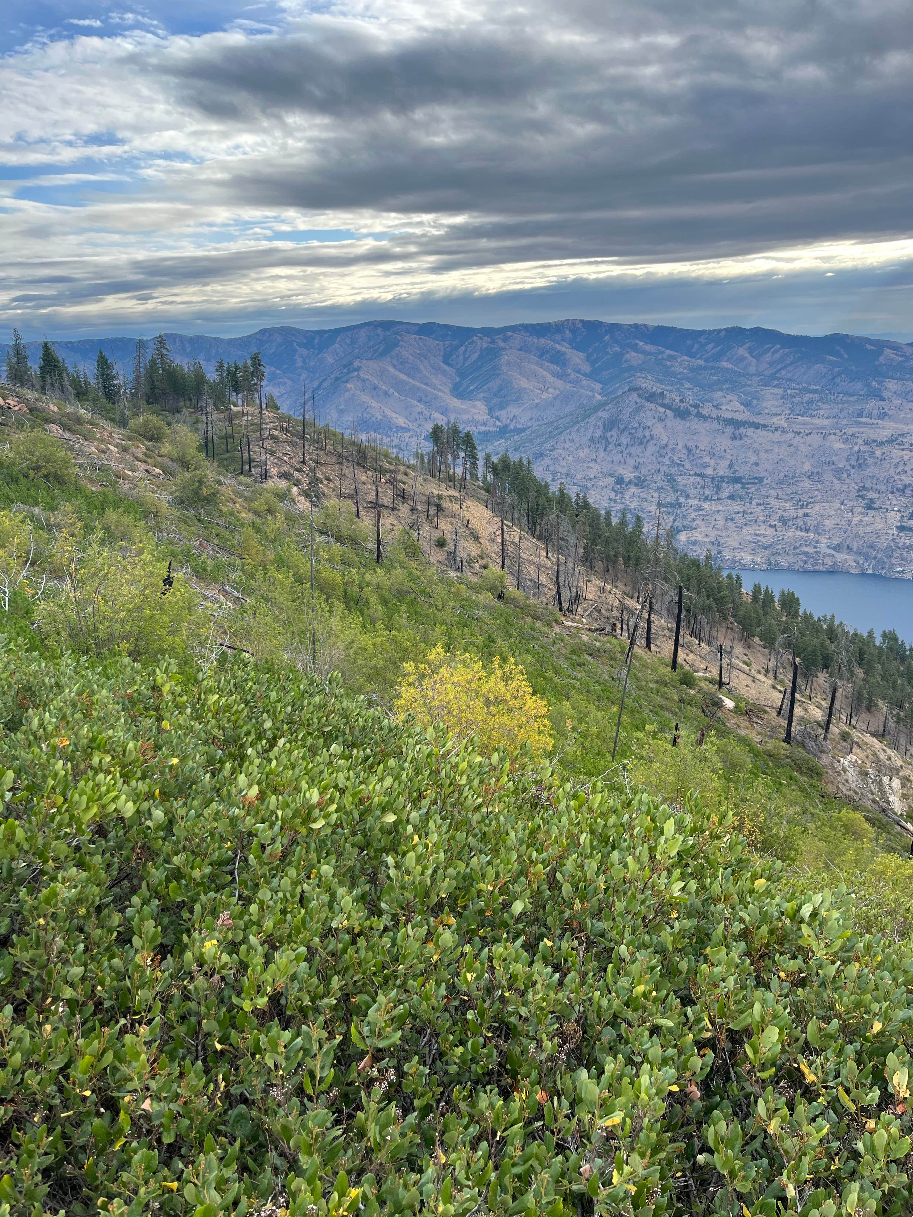Chelan Lookout - NF 8410 Dispersed