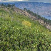 Review photo of Chelan Lookout - NF 8410 Dispersed by Luke B., September 11, 2024