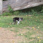 Review photo of River Park Campground by Lukas G., August 15, 2026