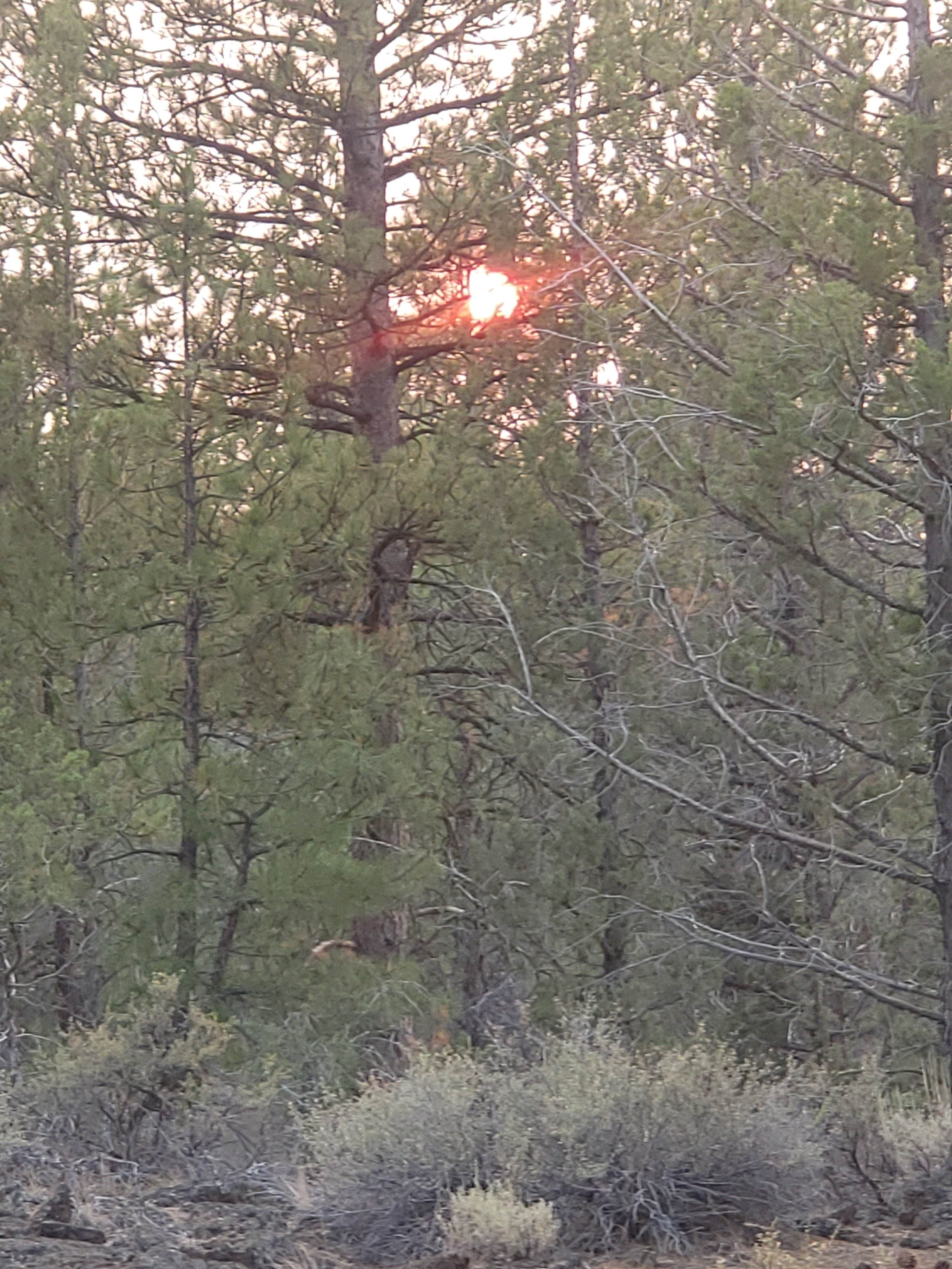Camper-submitted photo at Cheoah Bald Campground near Bryson City, NC
