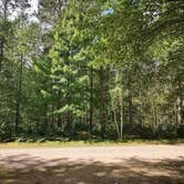 Review photo of Chequamegon National Forest Day Lake Campground by Andy M., August 24, 2026