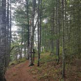Review photo of Chequamegon National Forest Day Lake Campground by Andy M., August 24, 2026