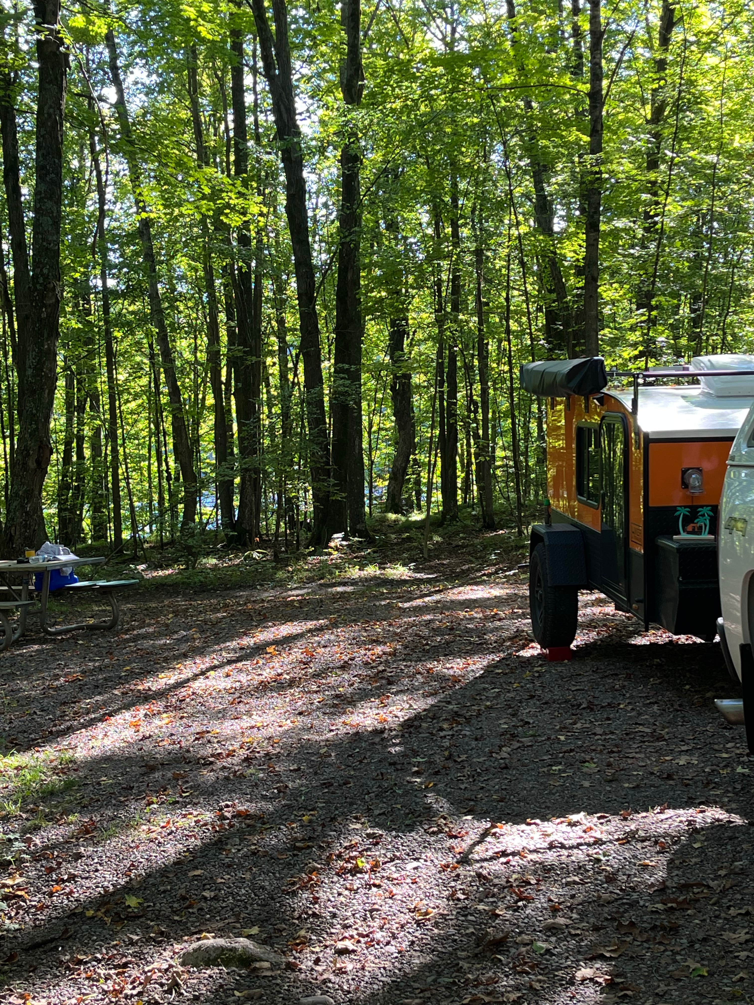 Camper submitted image from Eastwood NF Campground - 5
