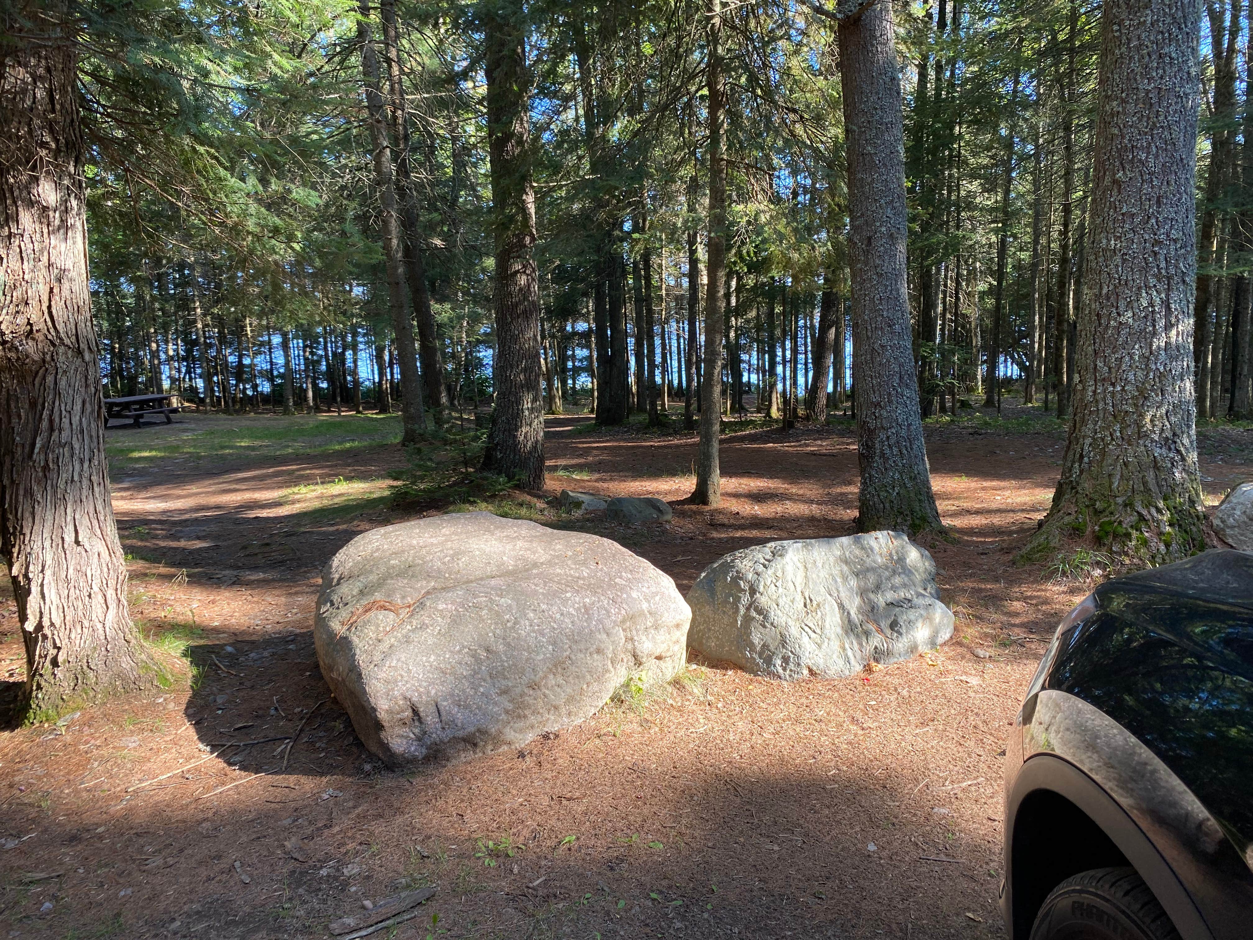Camper-submitted photo at Chequamegon-Nicolet National Forest Backcountry Site near Minocqua, WI