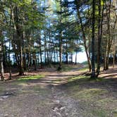 Review photo of Chequamegon-Nicolet National Forest Backcountry Site by Kay K., August 30, 2025