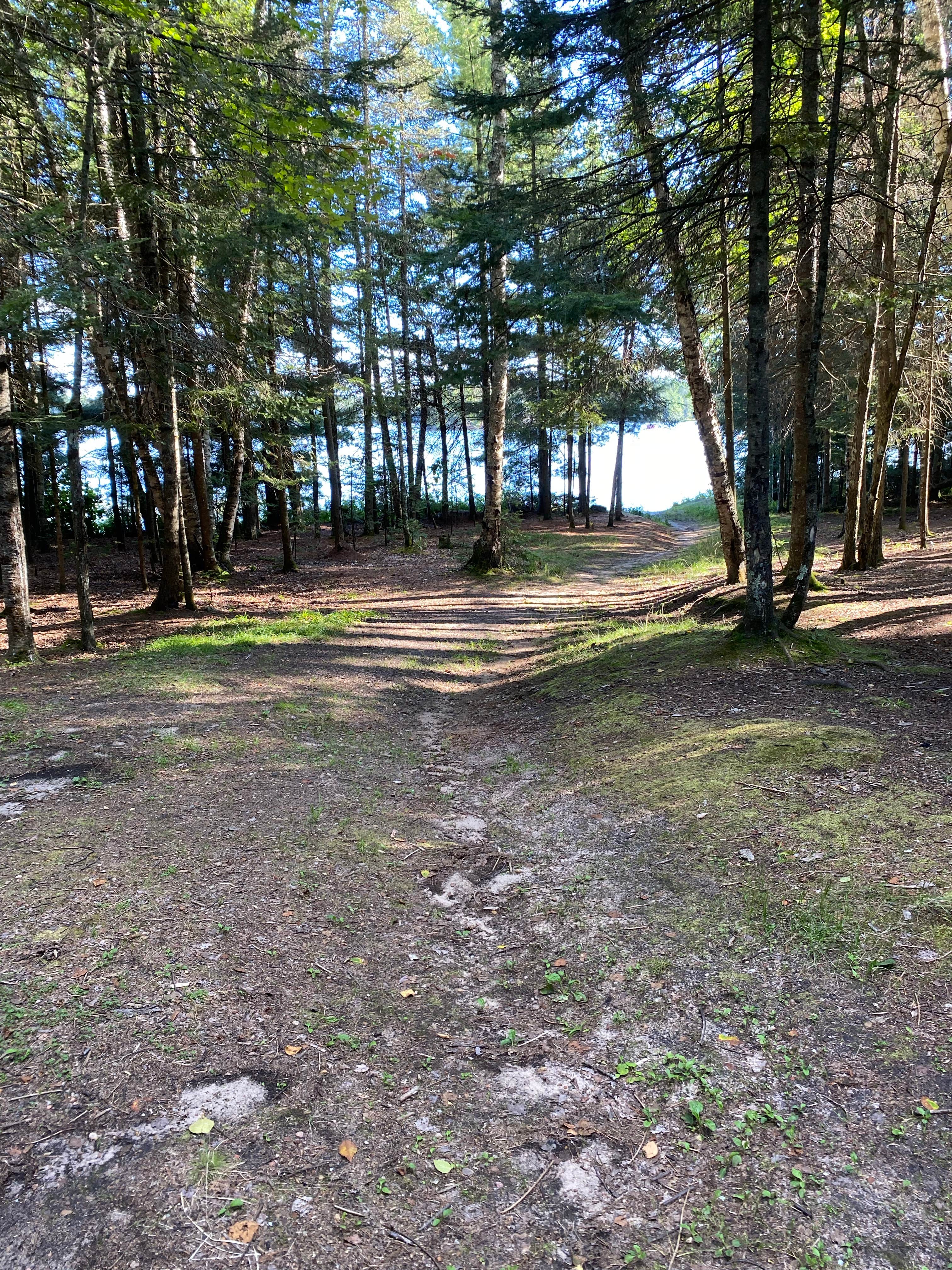Camper submitted image from Chequamegon-Nicolet National Forest Backcountry Site - 1