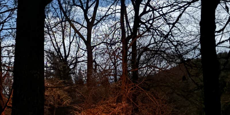 Camper submitted image from Indian Boundary Overflow Campground