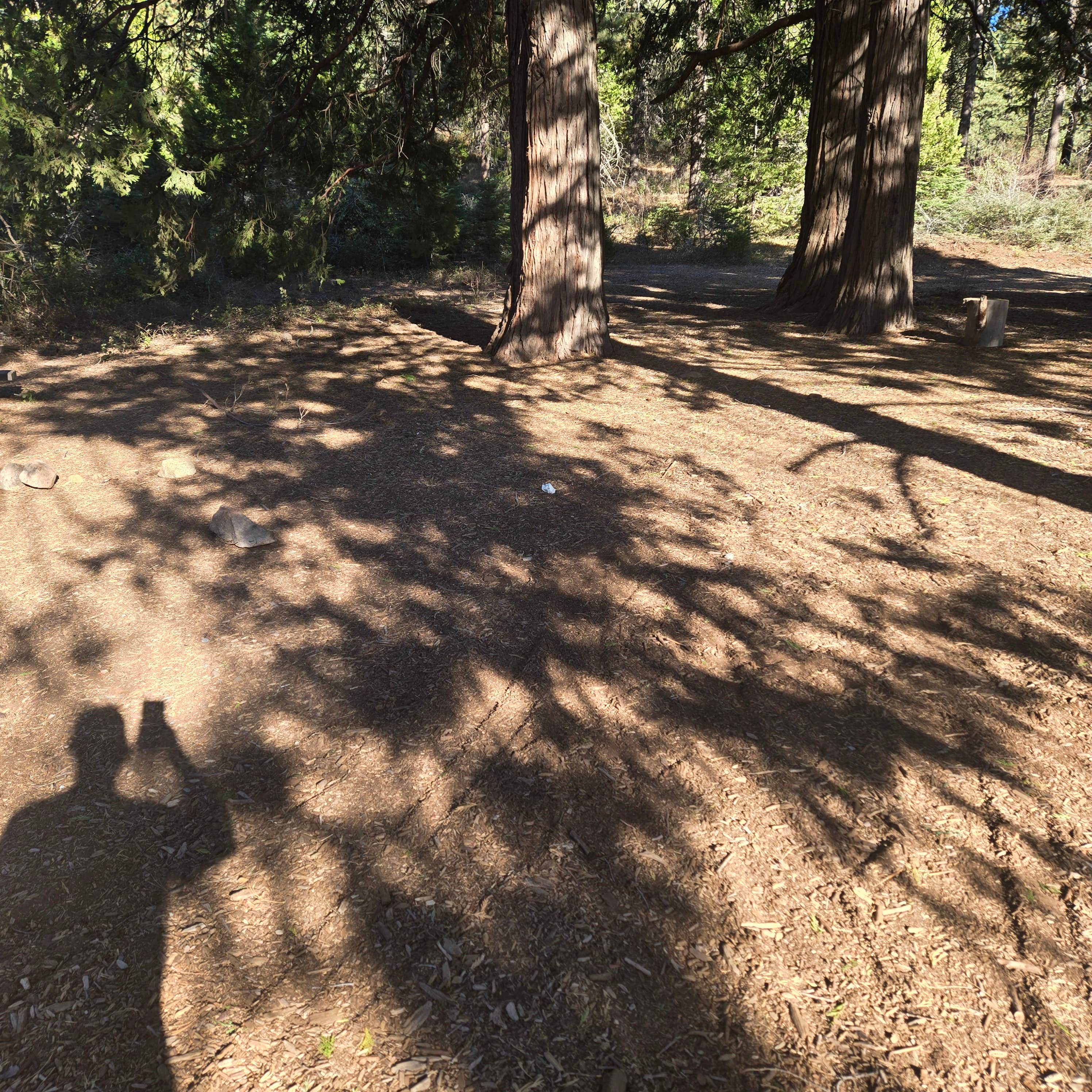 Camper-submitted photo at Cherry Gap Camp near Reedley, CA