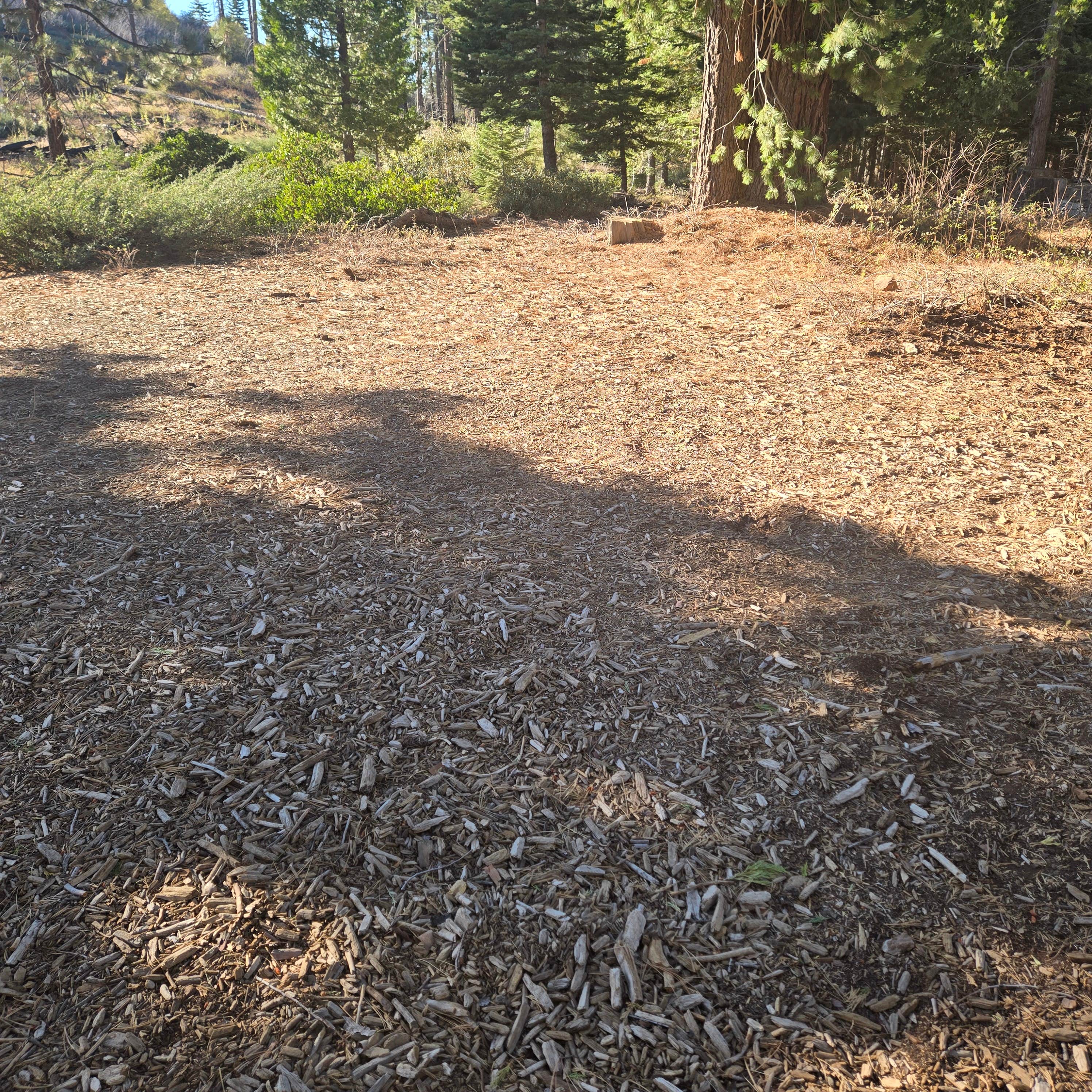 Camper-submitted photo at Cherry Gap Camp near Reedley, CA