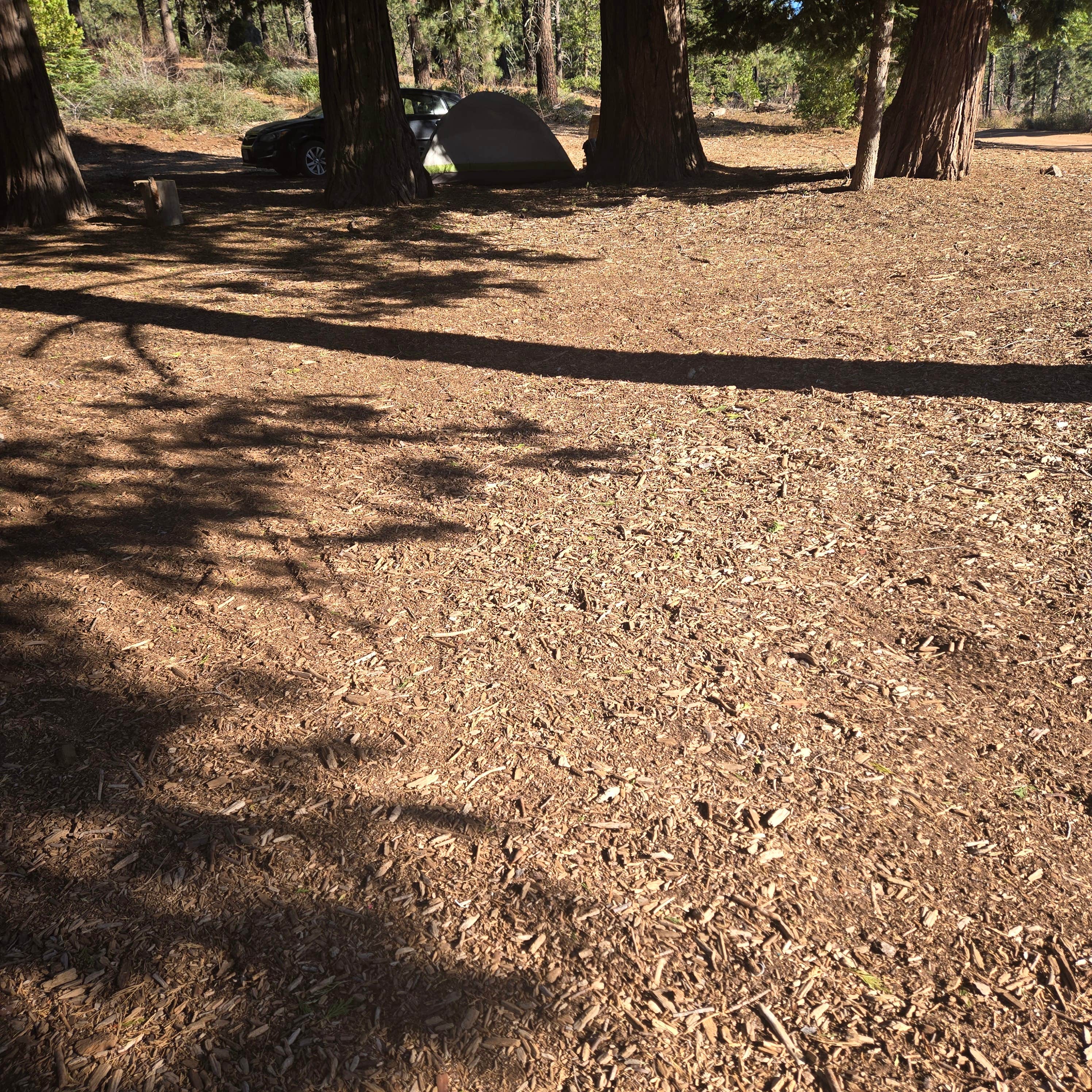 Camping near North Fork Confluence: Cherry Gap Camp, Hume, California