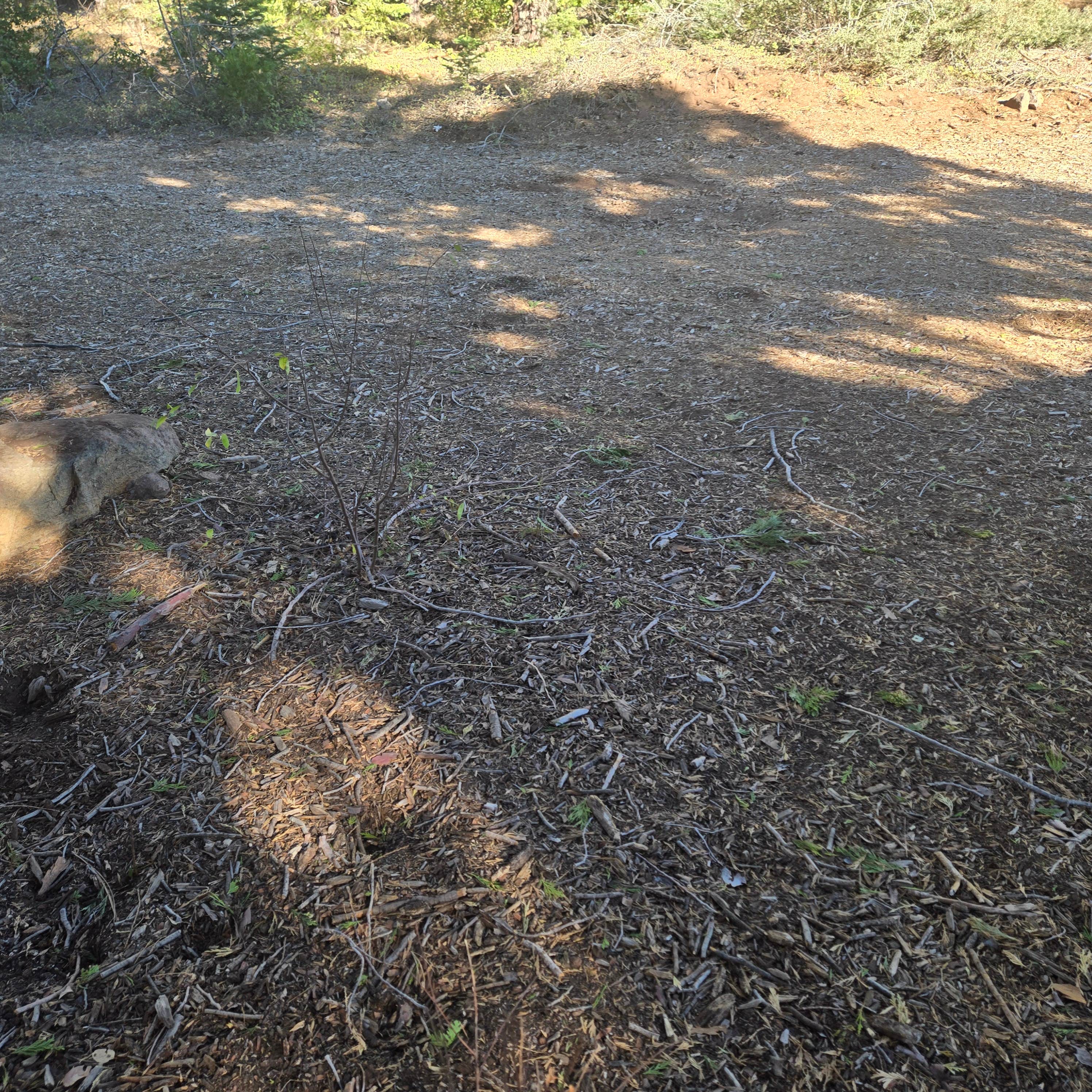 Camper-submitted photo at Cherry Gap Camp near Reedley, CA