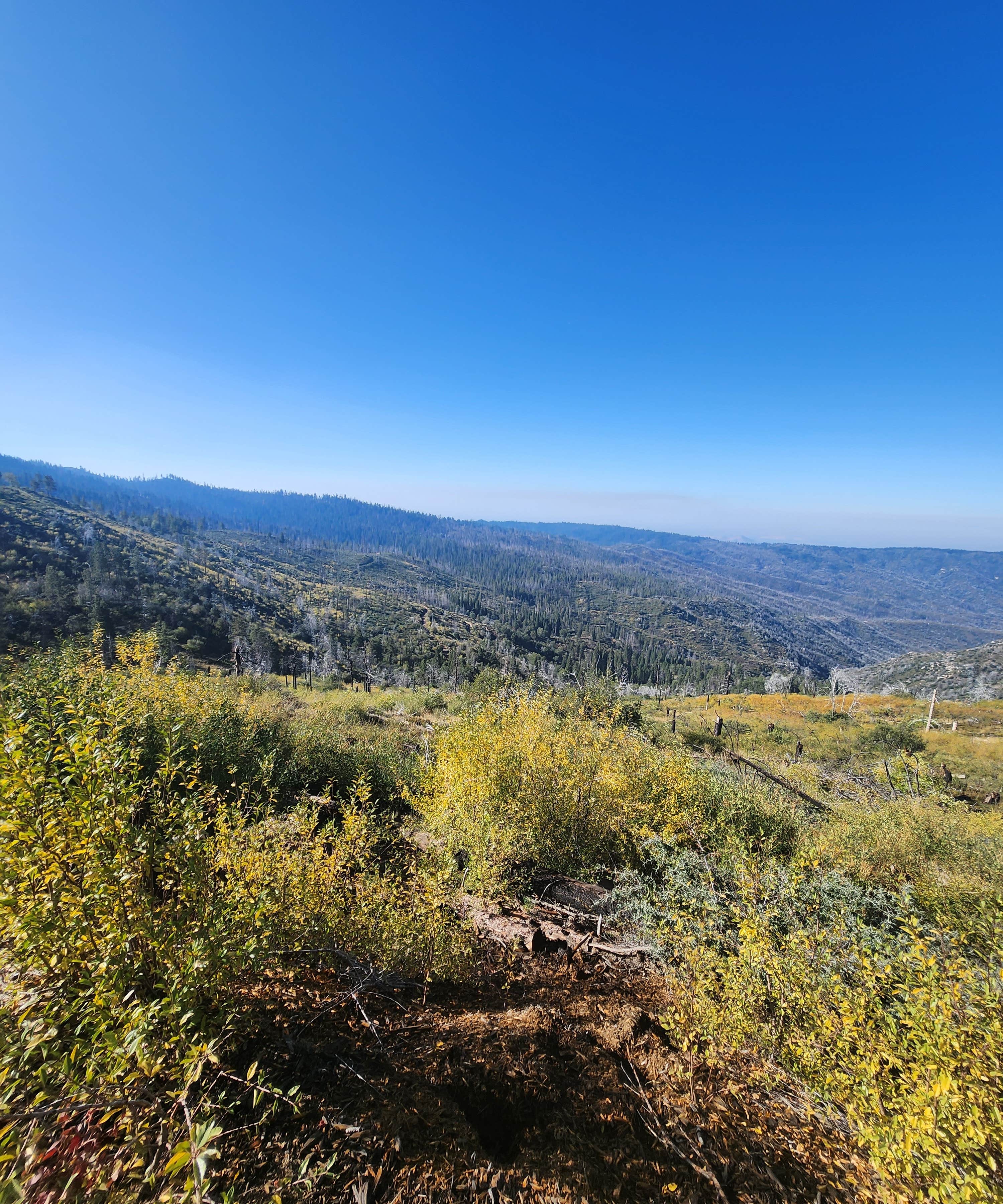 Camper-submitted photo at Cherry Gap OHV Staging Area near Hume, CA