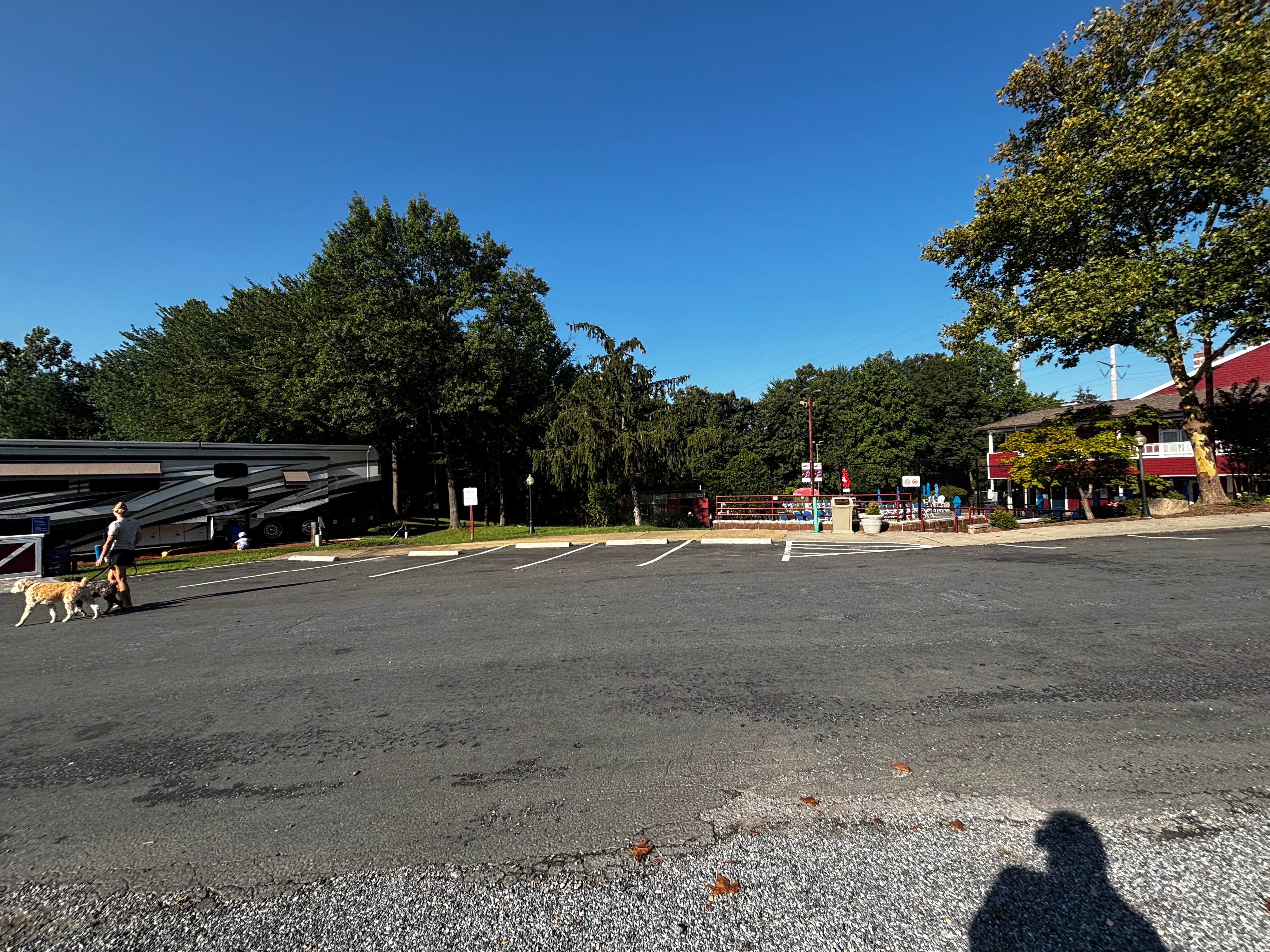 Jennifer H.'s photo of camping with pets at Cherry Hill Park in Maryland