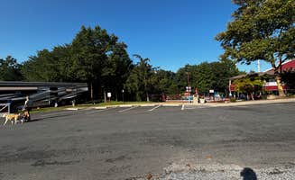 Jennifer H.'s photo of camping with pets at Cherry Hill Park near George Washington Memorial Parkway