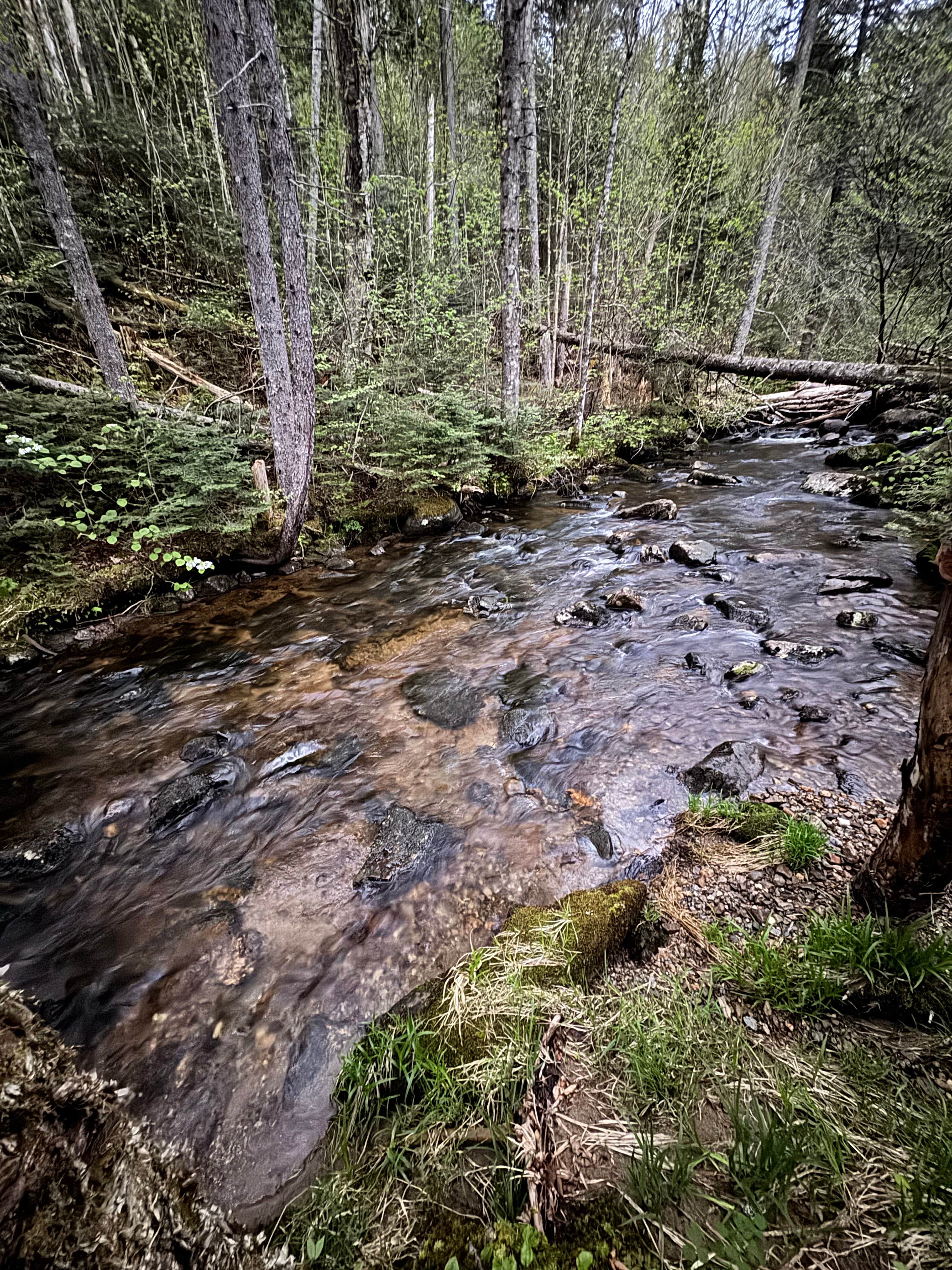 Camper-submitted photo at Cherry Mountain Road Dispersed near Denmark, ME