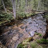 Review photo of Cherry Mountain Road Dispersed by Aimee L., May 22, 2025