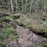 Review photo of Cherry Mountain Road Dispersed by Aimee L., May 22, 2025