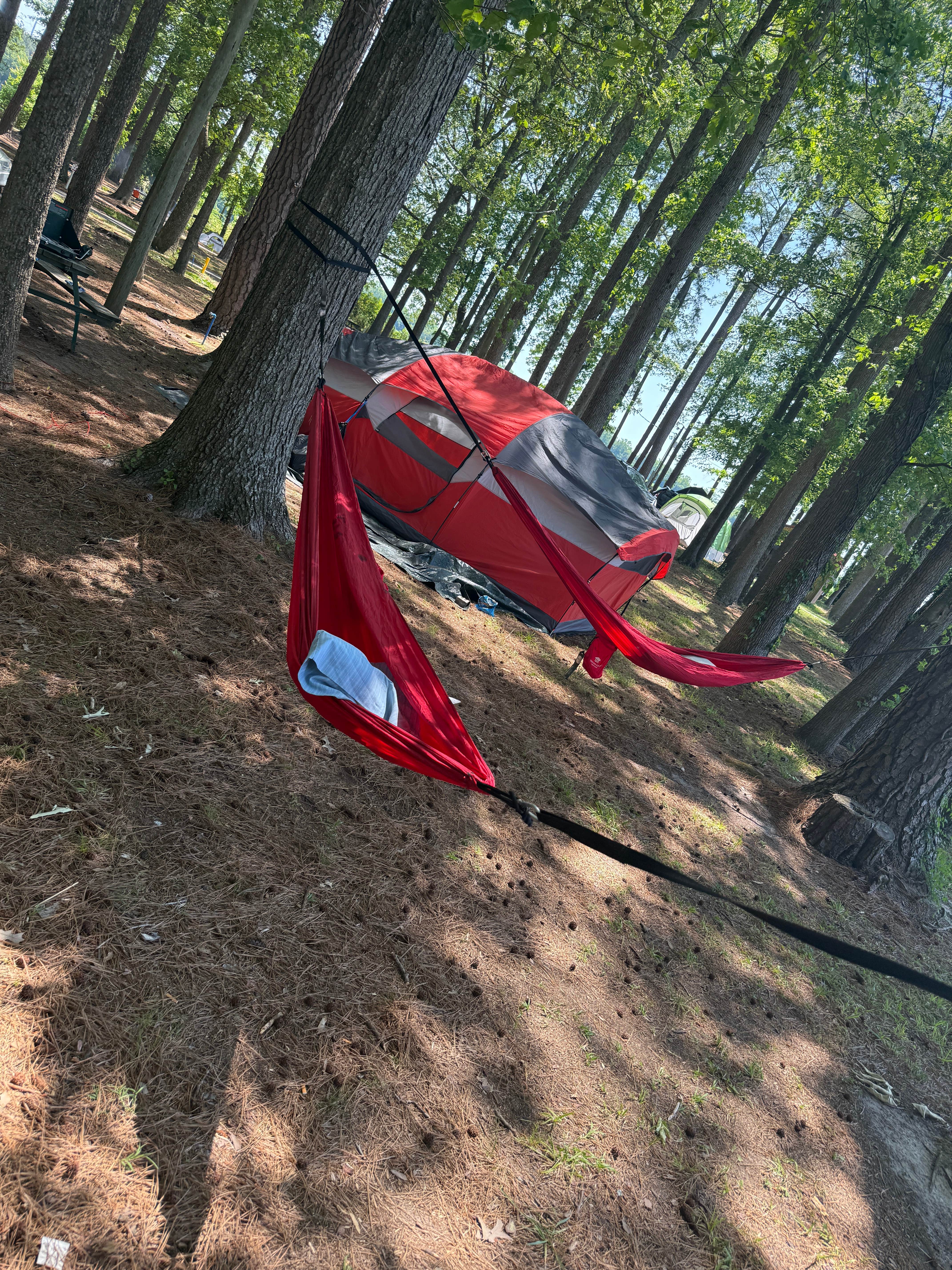 Camper-submitted photo at Chesapeake Campground near Suffolk, VA