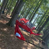 Review photo of Chesapeake Campground by Megan H., June 16, 2026